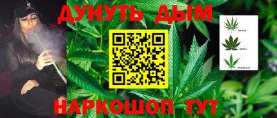 сатива Малгобек