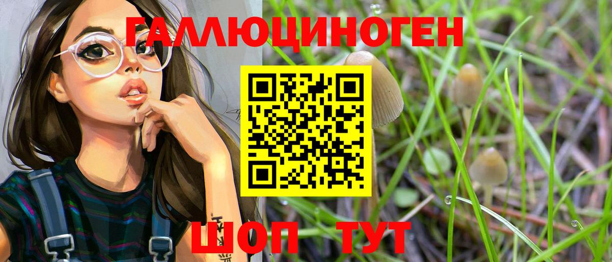 Галлюциногенные грибы GOLDEN TEACHER  Вход с VPN  Тайшет 
