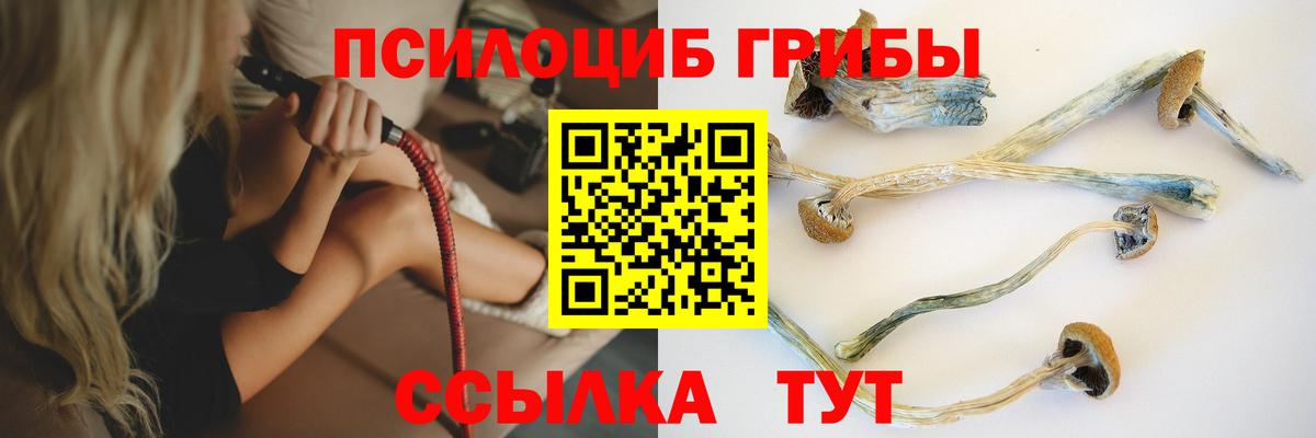 Галлюциногенные грибы мухоморы Тайшет